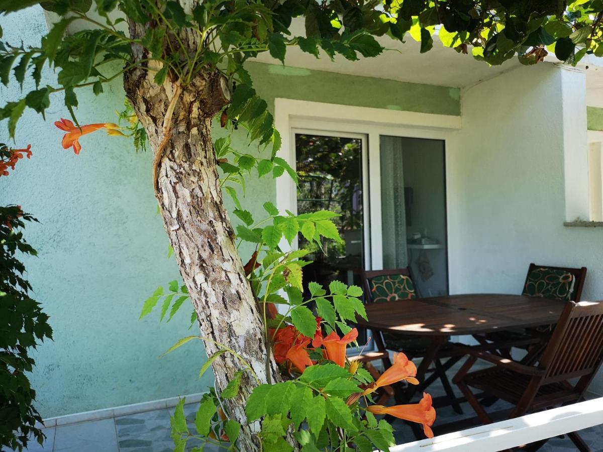 Chillout Apartments With Pool Patricia Fazana Exterior photo